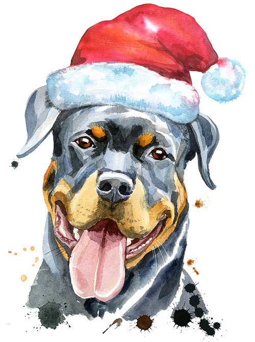 Cute Dog. Dog T-shirt graphics. watercolor rottweiler with Santa hat