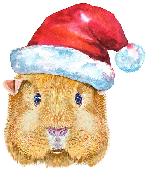 Cute cavy. Pig for T-shirt graphics. Watercolor English Self guinea pig with Santa hat illustration