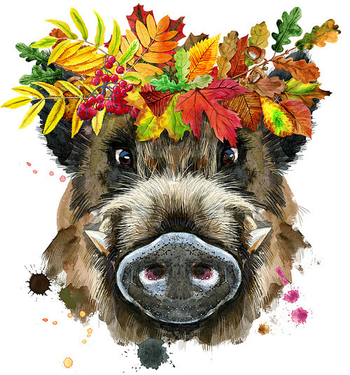 Cute piggy. Wild boar for T-shirt graphics. Watercolor brown boar illustration with wreath of leaves