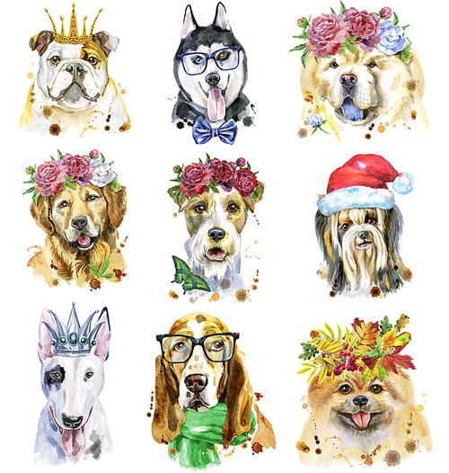 Cute set of watercolor portraits of dogs. For t-shirt graphics. Watercolor dogs illustration