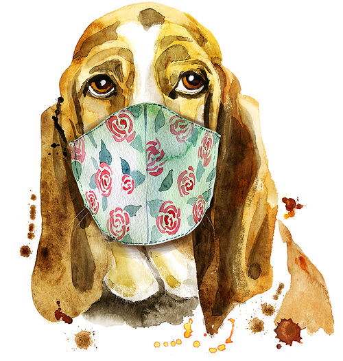 Cute Dog in face mask. Dog T-shirt graphics. watercolor basset hound