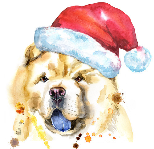 Cute Dog. Dog T-shirt graphics. watercolor chow-chow dog illustration with Santa hat