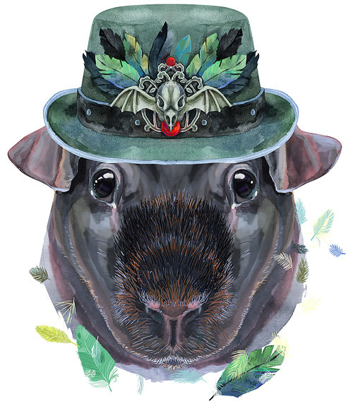 Cute cavy in green hat with a raven's skull and feathers. Pig for T-shirt graphics. Watercolor Skinny Guinea Pig illustration