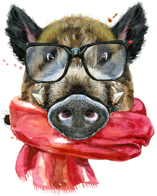 Cute piggy. Wild boar with glasses and red scarf for T-shirt graphics. Watercolor brown boar illustration