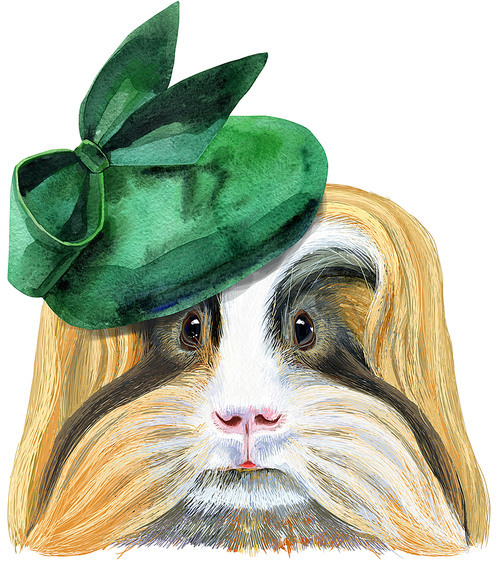Cute cavy in green hat. Pig for T-shirt graphics. Watercolor Sheltie Guinea Pig illustration