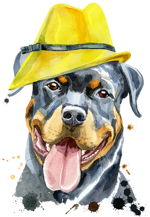 Cute Dog in yellow hat. Dog T-shirt graphics. watercolor rottweiler