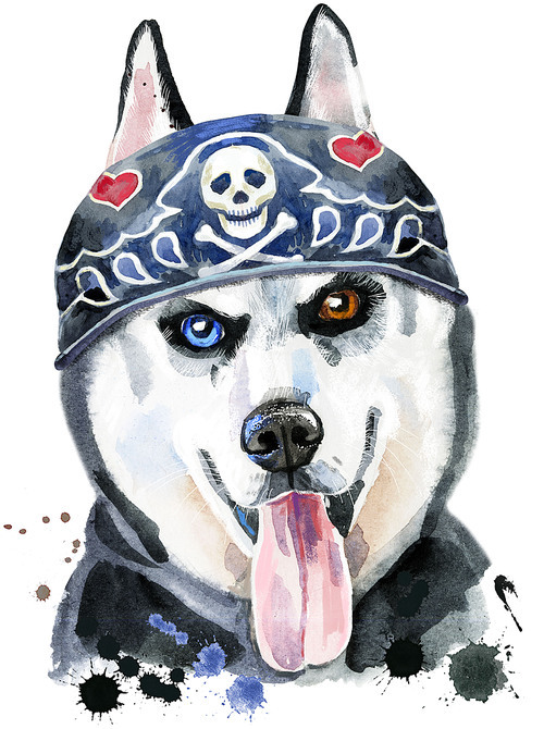 Cute Dog wearing in biker bandana. Dog T-shirt graphics. watercolor husky