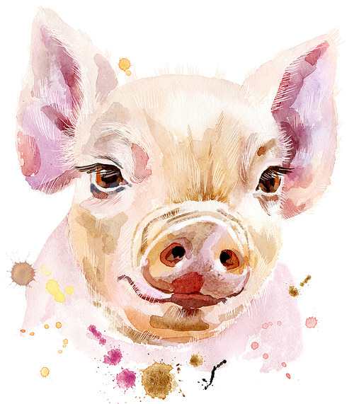 Cute piggy. Pig for T-shirt graphics. Watercolor pink mini pig illustration
