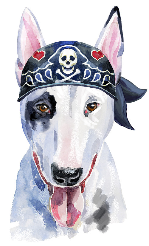 Cute Dog. Dog for T-shirt graphics. watercolor bull terrier illustration with biker bandana