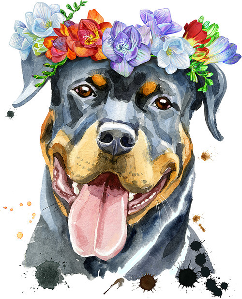 Cute Dog in a wreath of freesia. Dog T-shirt graphics. watercolor rottweiler