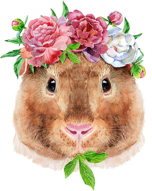 Guinea pig in a wreath of peonies. Pig for T-shirt graphics. Watercolor Teddy guinea pig illustration