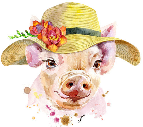 Cute piggy with summer hat. Pig for T-shirt graphics. Watercolor pink mini pig illustration