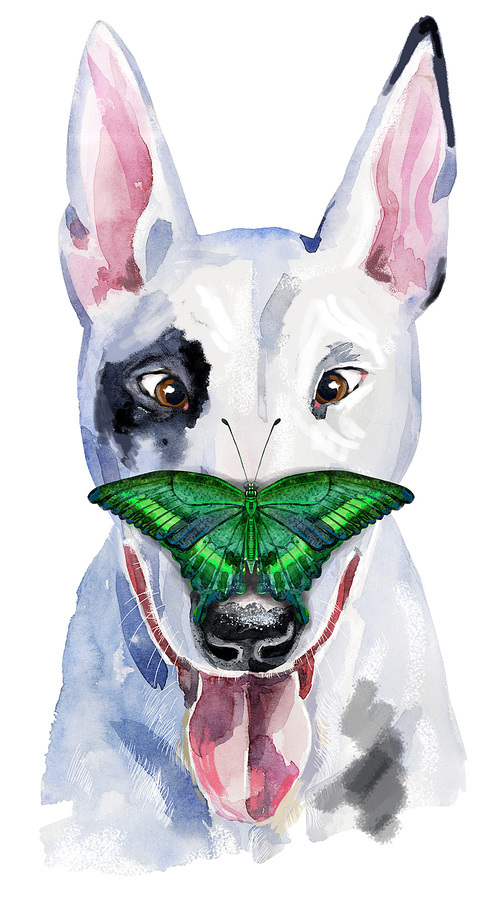 Cute Dog with butterfly on its nose. Dog T-shirt graphics. watercolor bull terrier illustration