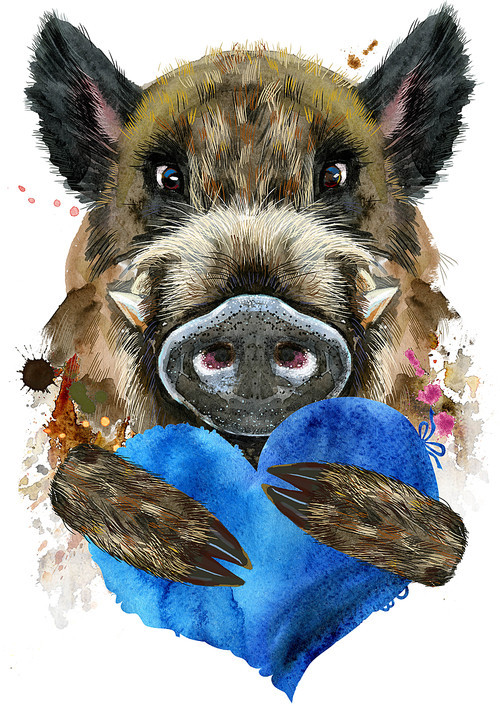 Cute piggy. Wild boar for T-shirt graphics. Watercolor brown boar with blue heart illustration