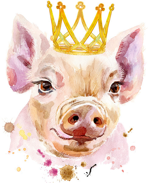 Cute piggy with gold crown. Pig for T-shirt graphics. Watercolor pink mini pig illustration