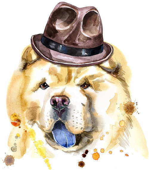 Cute Dog in a brown hat. Dog T-shirt graphics. watercolor chow-chow dog illustration