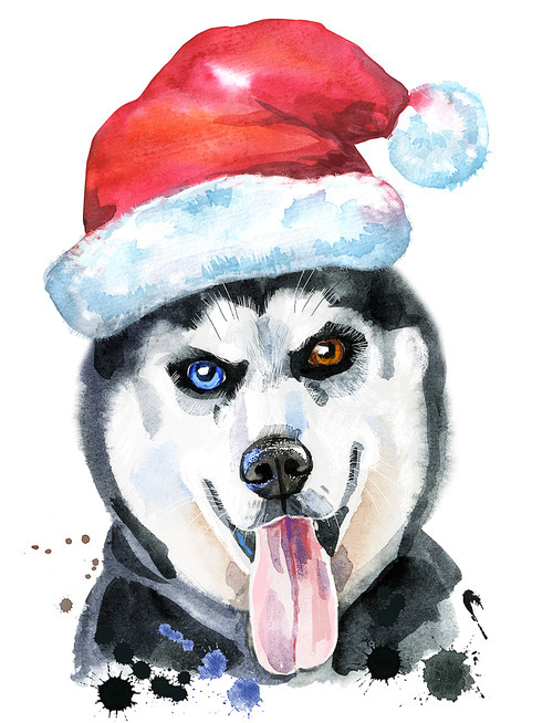 Cute Dog. Dog T-shirt graphics. watercolor husky with Santa hat