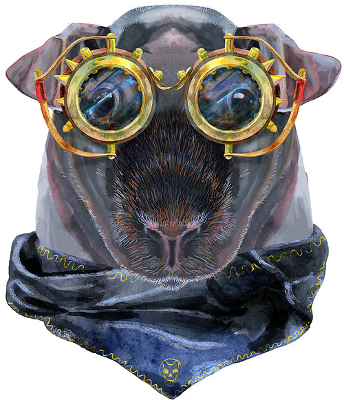 Cute cavy in steampunk glasses. Pig for T-shirt graphics. Watercolor Skinny Guinea Pig illustration
