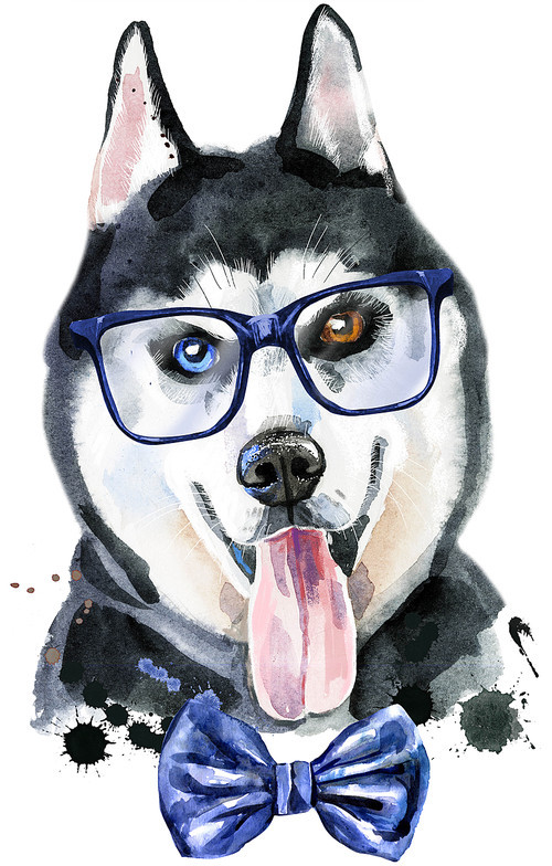 Cute Dog with bow-tie and glasses. Dog T-shirt graphics. watercolor husky