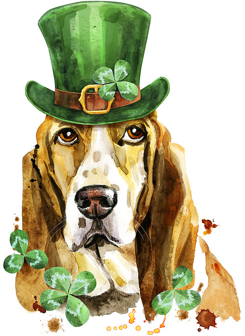 Cute Dog wearing a leprechaun hat with clover leaves. Dog T-shirt graphics. watercolor basset hound