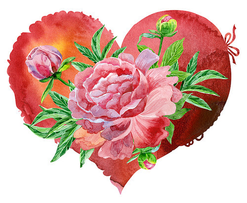 watercolor red heart with pink peonies, painted by hand
