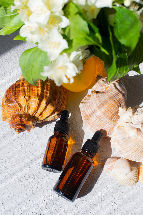 Cosmetic oil and shells . A container for cosmetic oil. Cosmetology. Skin care. Seashell. Article about the choice of facial oil
