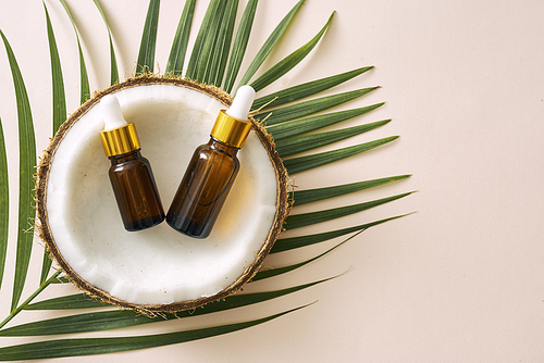 Coconut oil in bottle with open nuts and pulp in jar, green palm leaf background. Natural cosmetic products.