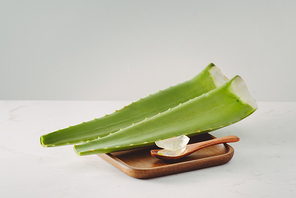 Aloe pieces and fresh leaves on a white background.