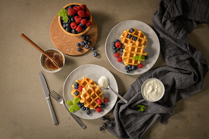 Sweet Homemade Berry Belgian Waffle with Whipped Cream.