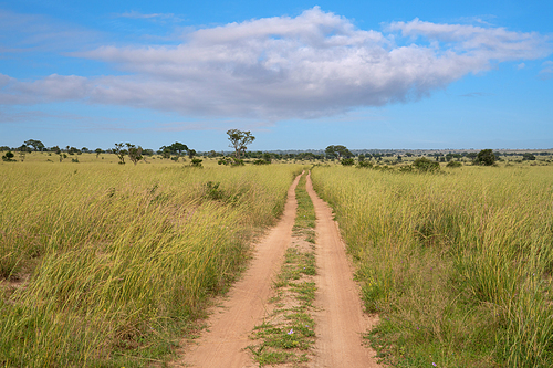 Panoramic scenic view into the landscape of Murchison Falls National Park, Uganda