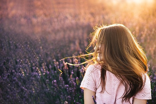 Brunette woman in dress is posing at lavender field. Lavender Fields Provence Woman sensual portraits close up at summer sunny day. Girl collect lavender