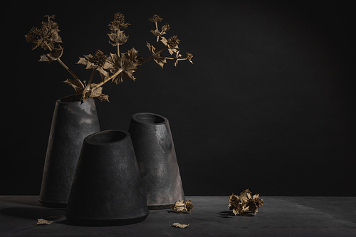 Modern design black ceramic vases  with ornamental dry natural plants on dark countertop and background.