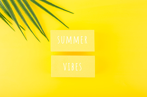 Summer vibes creative concept. Holiday backdrop with summer vibes inscription on yellow background with palm leaves. Template for banner, postcard, poster or flyer