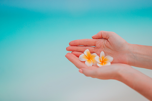 White beautiful frangipani flowers in female hands on white beach