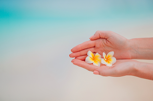 White beautiful frangipani flowers in female hands on white beach
