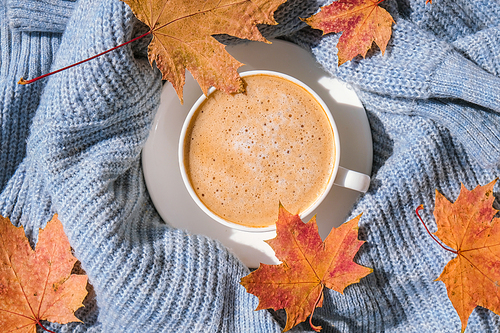 White cup of morning warming coffee on blue knitted sweater with maple yellow leaves background. Cozy home concept. Aesthetics blog lifestyle. Autumn Still life. Cappuccino or latte hot drink. Atmosphere