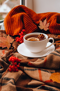 Autumn mood concept. Hot tea with lemon and cinnamon sticks on cozy sweater scarf background. Fall leaves and berries composition still life. Cup of mulled wine. Tea Time. Festive mood atmosphere home