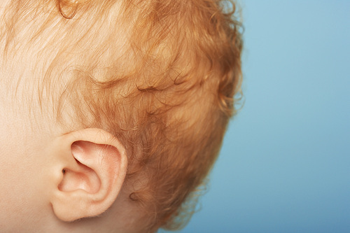 Redheaded Baby's Ear