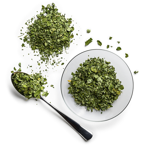 Dried Moringa on a white background. The view from the top.