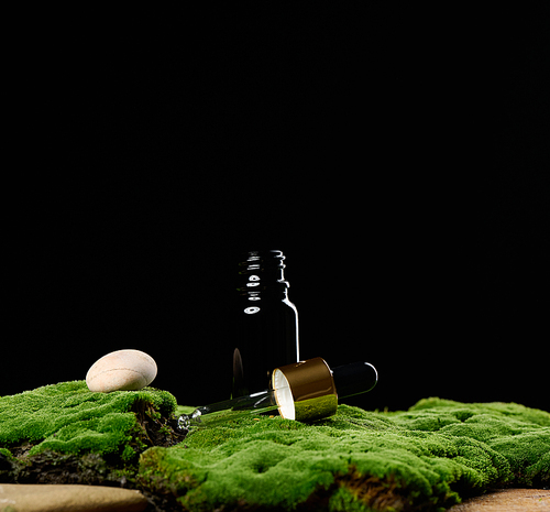 black glass bottle with pipette stands on green moss, black background. Cosmetics SPA branding. Packaging for gel, serum, advertising and product promotion, mock up