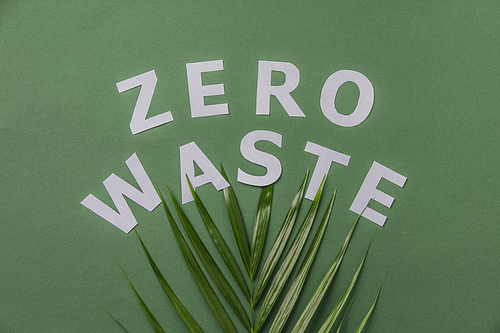 Zero waste concept. Green palm leaf and handmade paper letters on green background, flat lay, copyspace. Plastic free. Sustainable lifestyle concept.