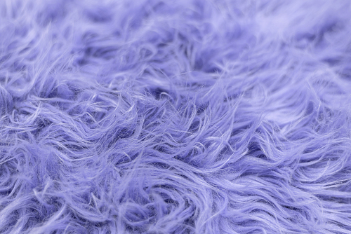 Purple soft fur for background or texture. Fluffy blue fur blanket. The color of 2022 very peri. Flat lay, top view, copy space.