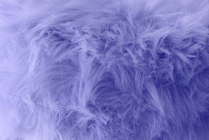 Color of the year 2022, Very Peri. Top view Fluffy wool texture sample. Fashionable beauty, trendy and modern design concept