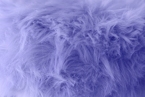 Color of the year 2022, Very Peri. Top view Fluffy wool texture sample. Fashionable beauty, trendy and modern design concept