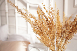 Dry branches of reeds indoors. Scandinavian style room decor. Blurred background with white bedroom