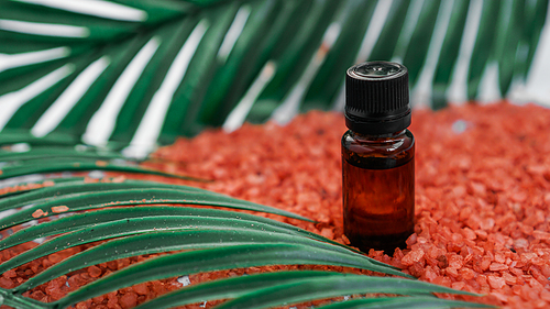 Cosmetic bottle with oil on a background of sea salt and tropical leaves. The concept of beauty, spa, aromatherapy, medicine.