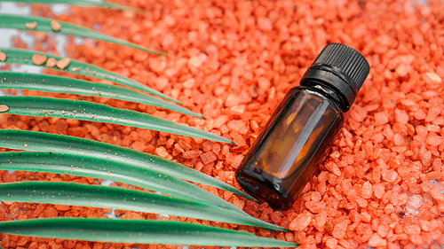 Cosmetic bottle with oil on a background of sea salt and tropical leaves. The concept of beauty, spa, aromatherapy, medicine.