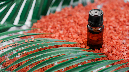 Cosmetic bottle with oil on a background of sea salt and tropical leaves. The concept of beauty, spa, aromatherapy, medicine.