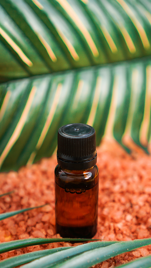 Cosmetic bottle with oil on a background of sea salt and tropical leaves. The concept of beauty, spa, aromatherapy, medicine.