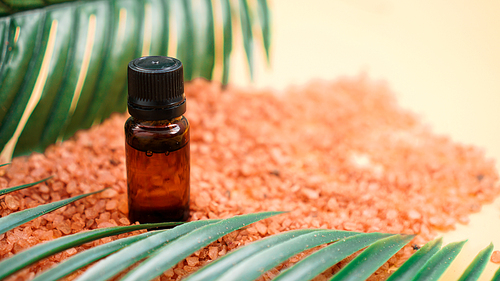 Cosmetic bottle with oil on a background of sea salt and tropical leaves. The concept of beauty, spa, aromatherapy, medicine.